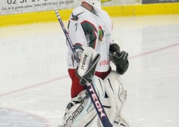Sylvain Michaud