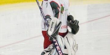 Sylvain Michaud
