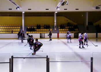 Gothiques_amical_Photo_1