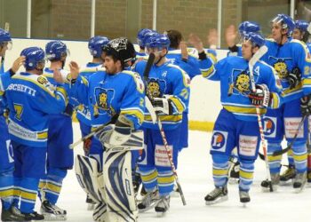 2010-10-25-wasquehal-meudon