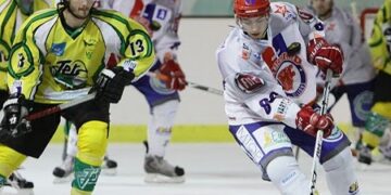 2010-11-13-Viry-Lyon