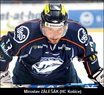 Miroslav_Zalesak