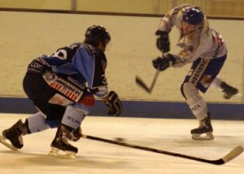 2011-03-10-Angers-Villard2