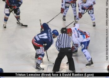 Lemoine face Bastien