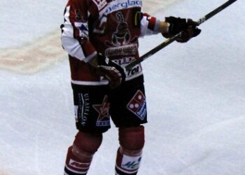sallander david