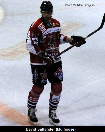 sallander david