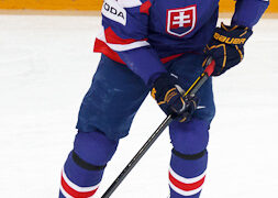 RADIVOJEVIC Branko-120515-266