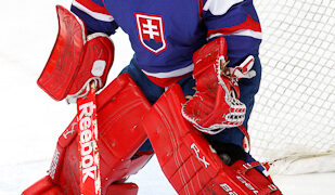 HAMERLIK Peter-120515-257