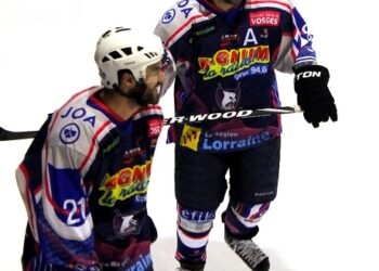 gauthier et bouchard
