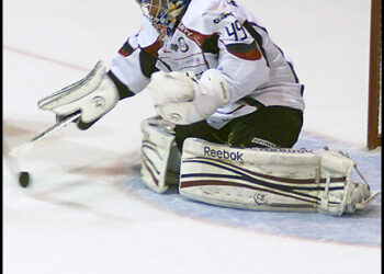 HARDYflorian20130910040