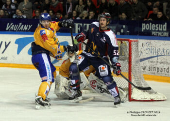 2014-01-11-Grenoble-Dijon1