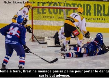 2014-01-18-Brest-Strasbourg