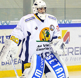 L&rsquo;équipe-type de Ligue Magnus de février 2013