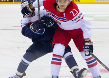 Slovaquie – République tchèque (Mondial 2014, groupe A)