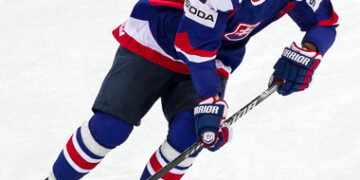 Suède – Slovaquie (Mondiaux 2014, groupe A)