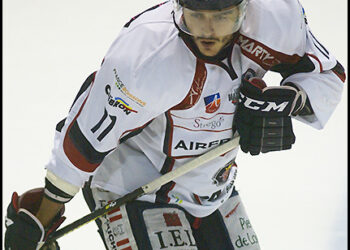 Ligue Magnus : Angers taille patron
