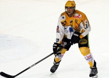 Ligue Magnus : Strasbourg et Brest ne se laissent pas abattre