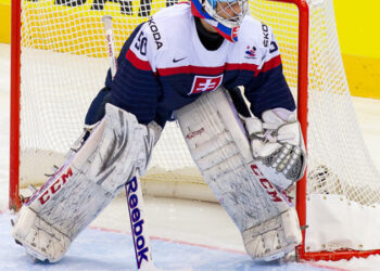 Présentation de la KHL 2014/15 (IV) : division Chernyshev