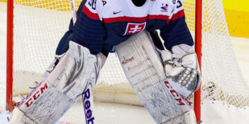 Présentation de la KHL 2014/15 (IV) : division Chernyshev