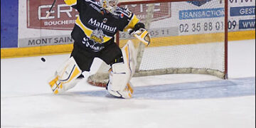 Rouen – Angers (Ligue Magnus, 10e journée)