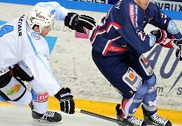 Grenoble – Gap (Ligue Magnus, 11e journée)