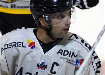 L&rsquo;équipe-type de Ligue Magnus de décembre 2014