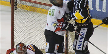 Rouen – Briançon (Ligue Magnus, 19e journée)