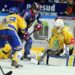 Grenoble – Dijon (Ligue Magnus, 24e journée)