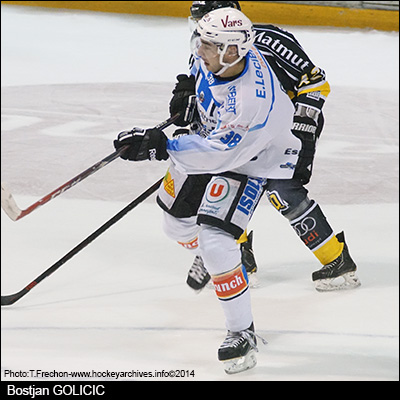 GOLICICbostjan20141202074