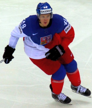 2014 05 11 Suede Tcheque Hertl