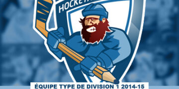 L&rsquo;équipe-type de division 1 2014/15