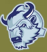 Dinamo