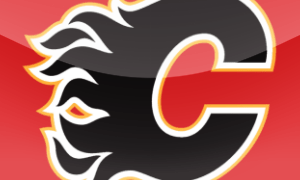 Bilan 2016-17: Calgary, peuvent-ils faire mieux ?