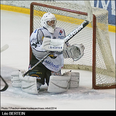 BERTEINleo20141112047