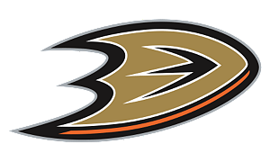 Bilan NHL (27/30) : Anaheim Ducks