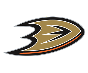 Bilan NHL (27/30) : Anaheim Ducks