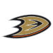 Bilan NHL (27/30) : Anaheim Ducks