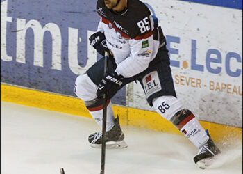 Ligue Magnus (4e journée) : Angers attend Grenoble