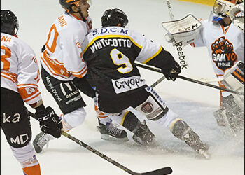 L&rsquo;équipe-type de Ligue Magnus de novembre-décembre 2015