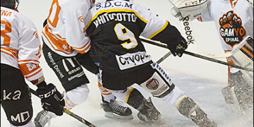 L&rsquo;équipe-type de Ligue Magnus de novembre-décembre 2015