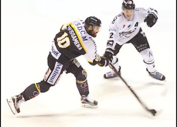 Rouen – Brest (Ligue Magnus, 20e journée)