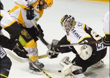 Rouen – Strasbourg (Ligue Magnus, 17e journée)