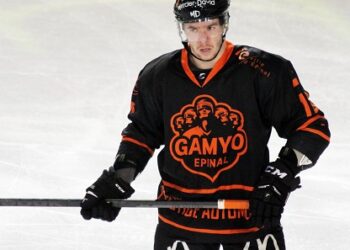L&rsquo;équipe-type de Ligue Magnus de janvier/février 2016