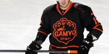 L&rsquo;équipe-type de Ligue Magnus de janvier/février 2016