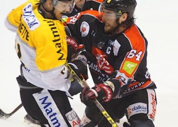 Rouen – Amiens (match en retard, Ligue Magnus, 9e journée)