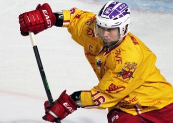 L&rsquo;équipe-type de la poule de maintien en Magnus