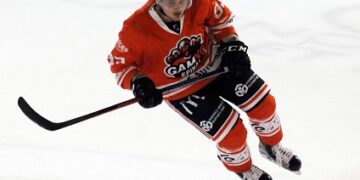 Ligue Magnus (play-offs) : Épinal et Gap égalisent