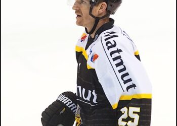 Les équipes-types des play-offs de Ligue Magnus 2016
