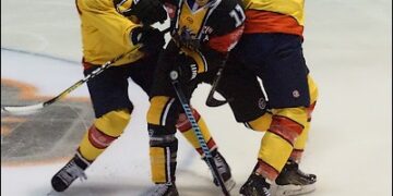 Rouen – Djurgården (CHL, groupe B)