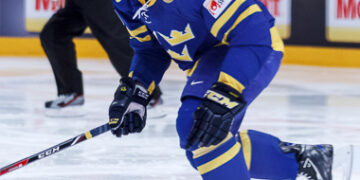 Russie – Suède (Coupe du monde 2016, groupe B)